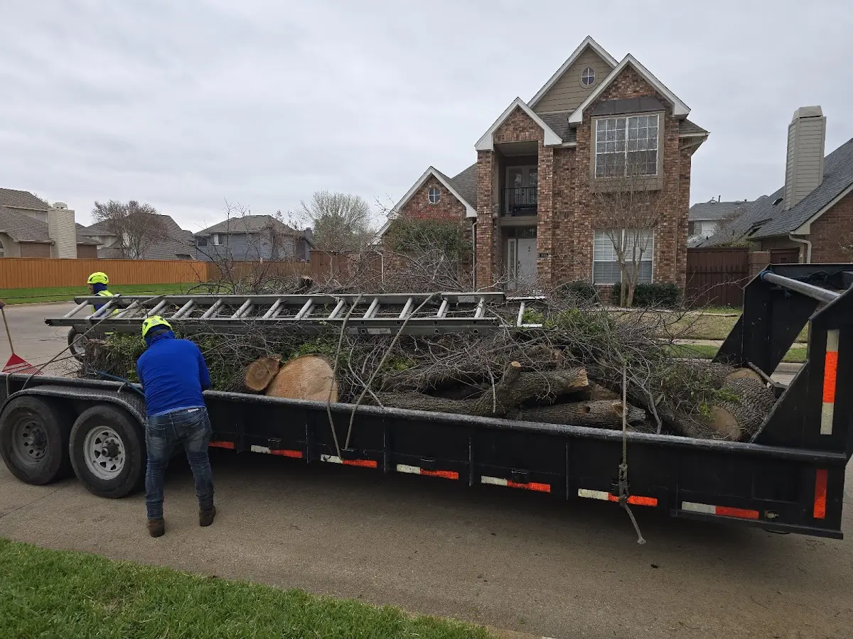 Expert Tree Removal with proper safety equipment in Dyer